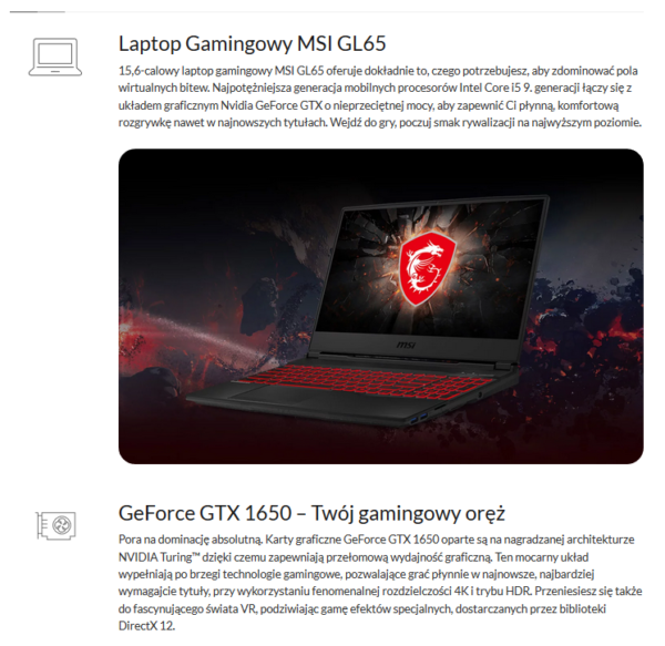 Przykład opisu produktu - sklep internetowy